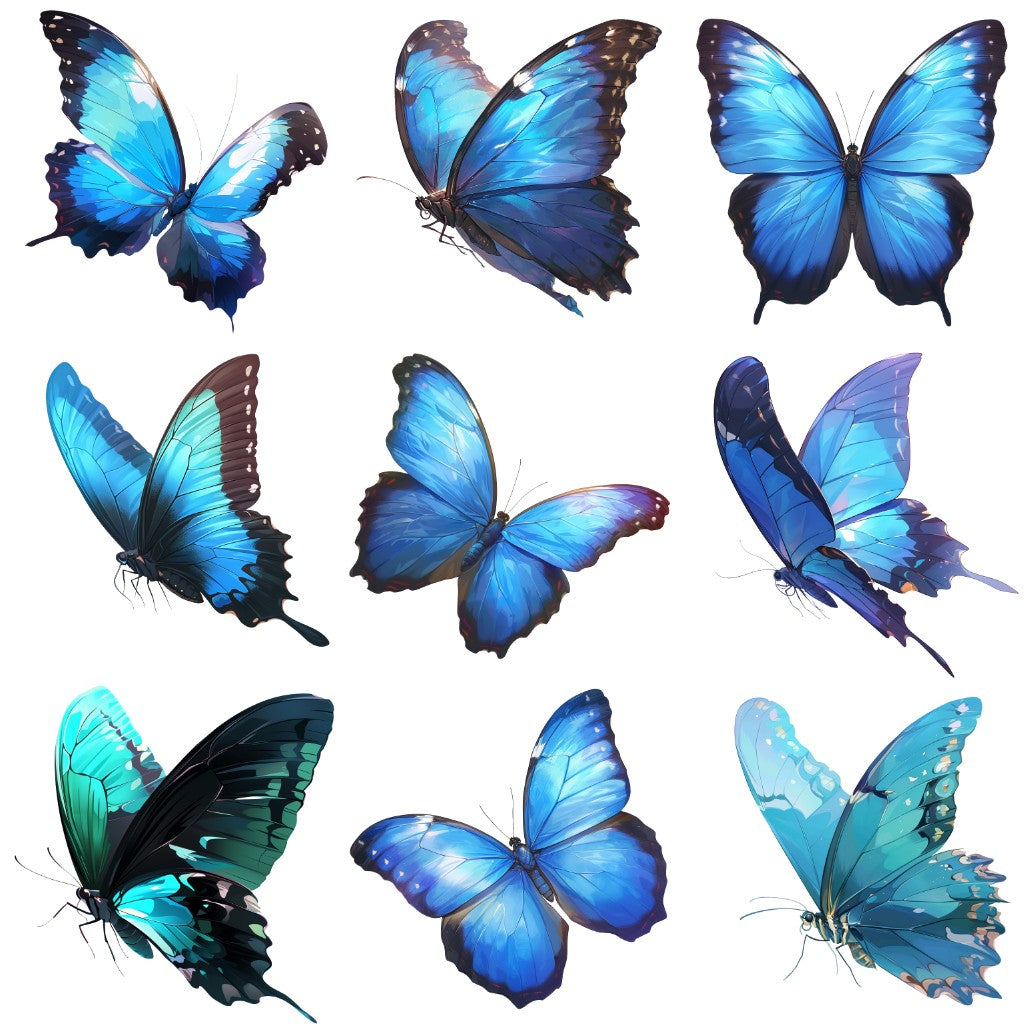 Butterfly 55 Illustrations (Transparent PNG)