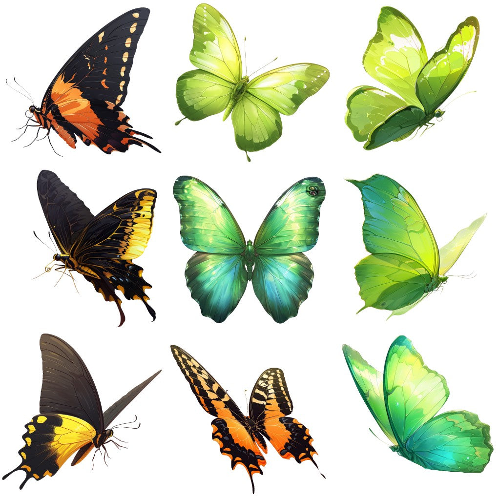 Butterfly 55 Illustrations (Transparent PNG)