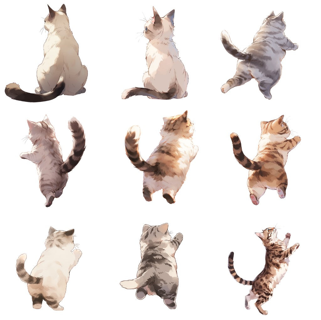 Cat 161 Illustrations (Transparent PNG)