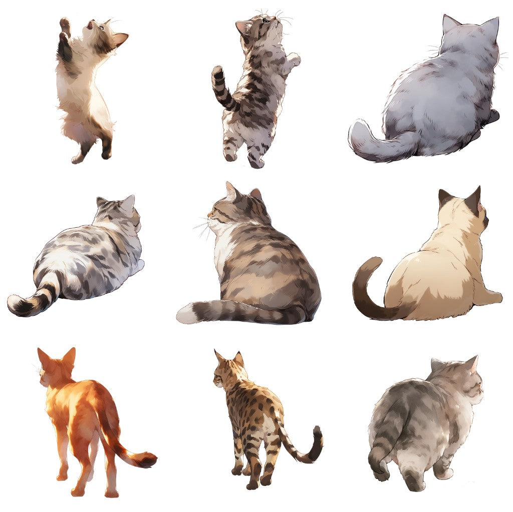 Cat 161 Illustrations (Transparent PNG)
