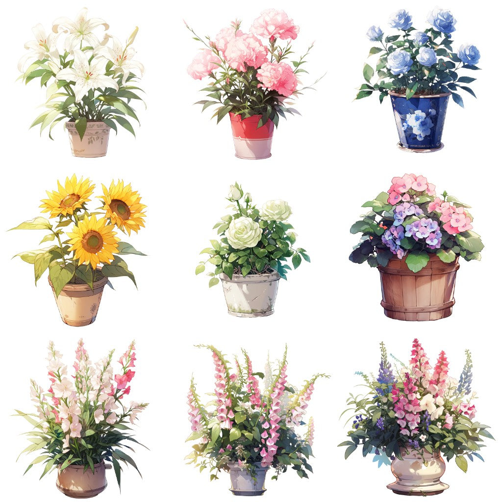 花卉 50 幅插图 (透明 PNG)