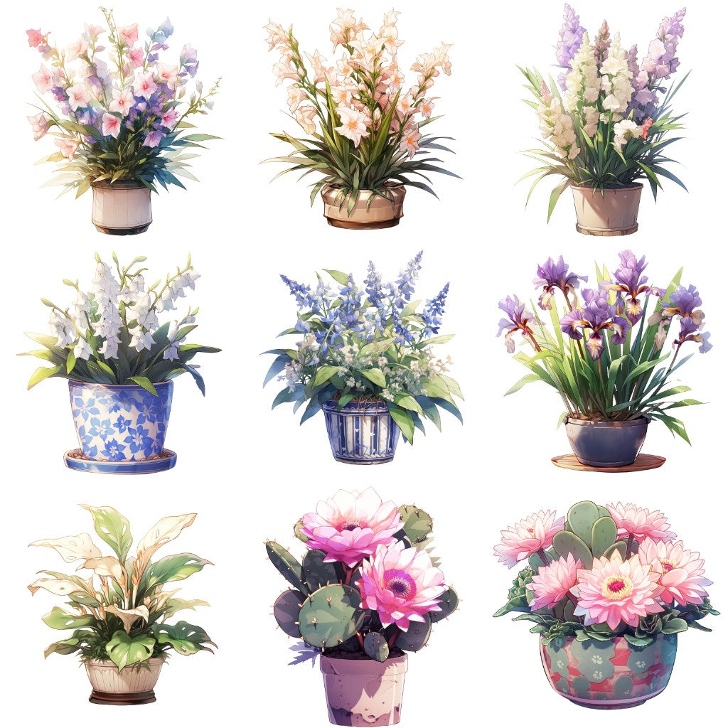 花卉 50 幅插图 (透明 PNG)