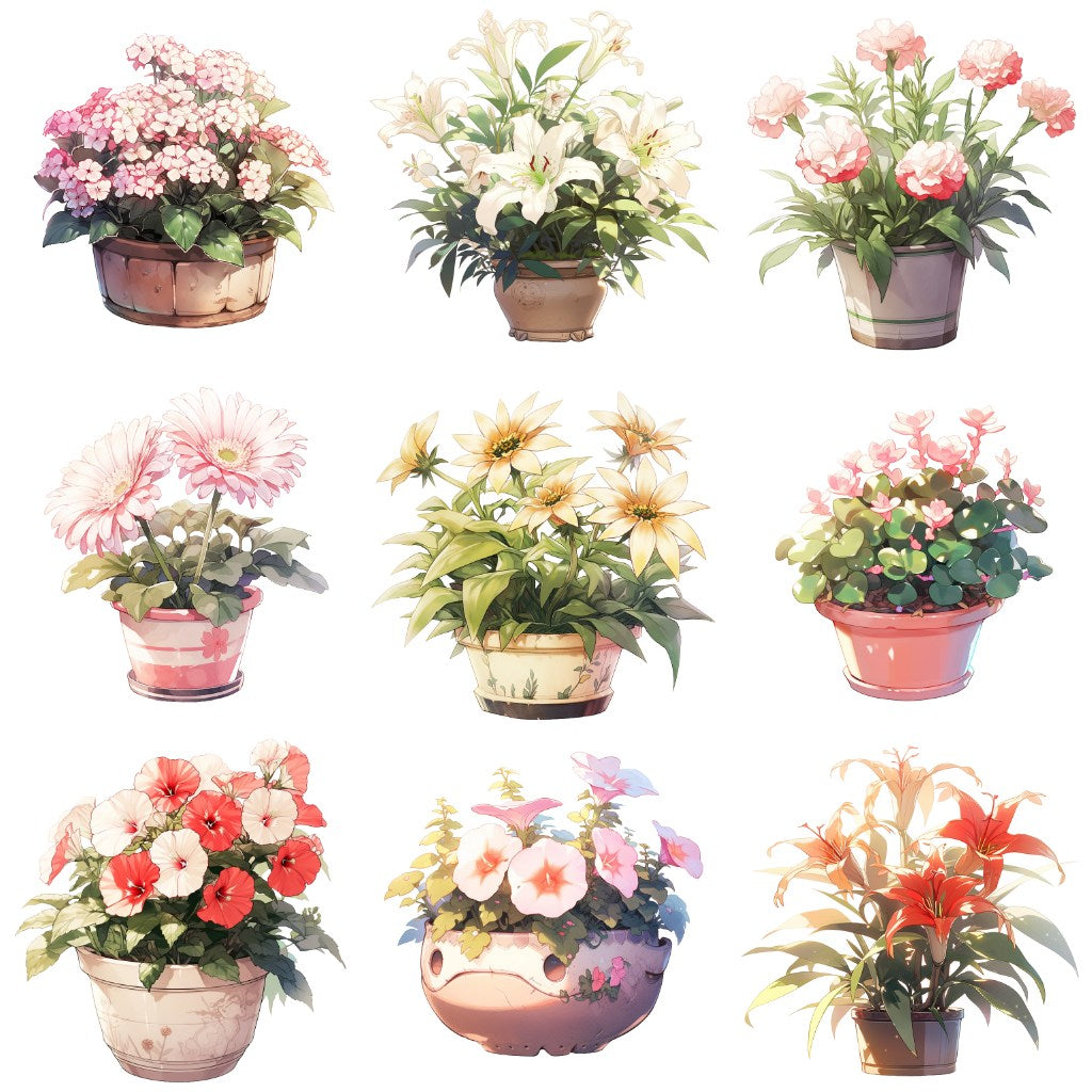 花卉 50 幅插图 (透明 PNG)