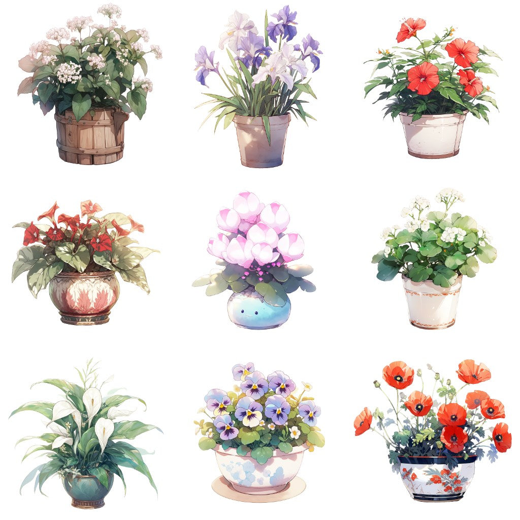 花卉 50 幅插图 (透明 PNG)