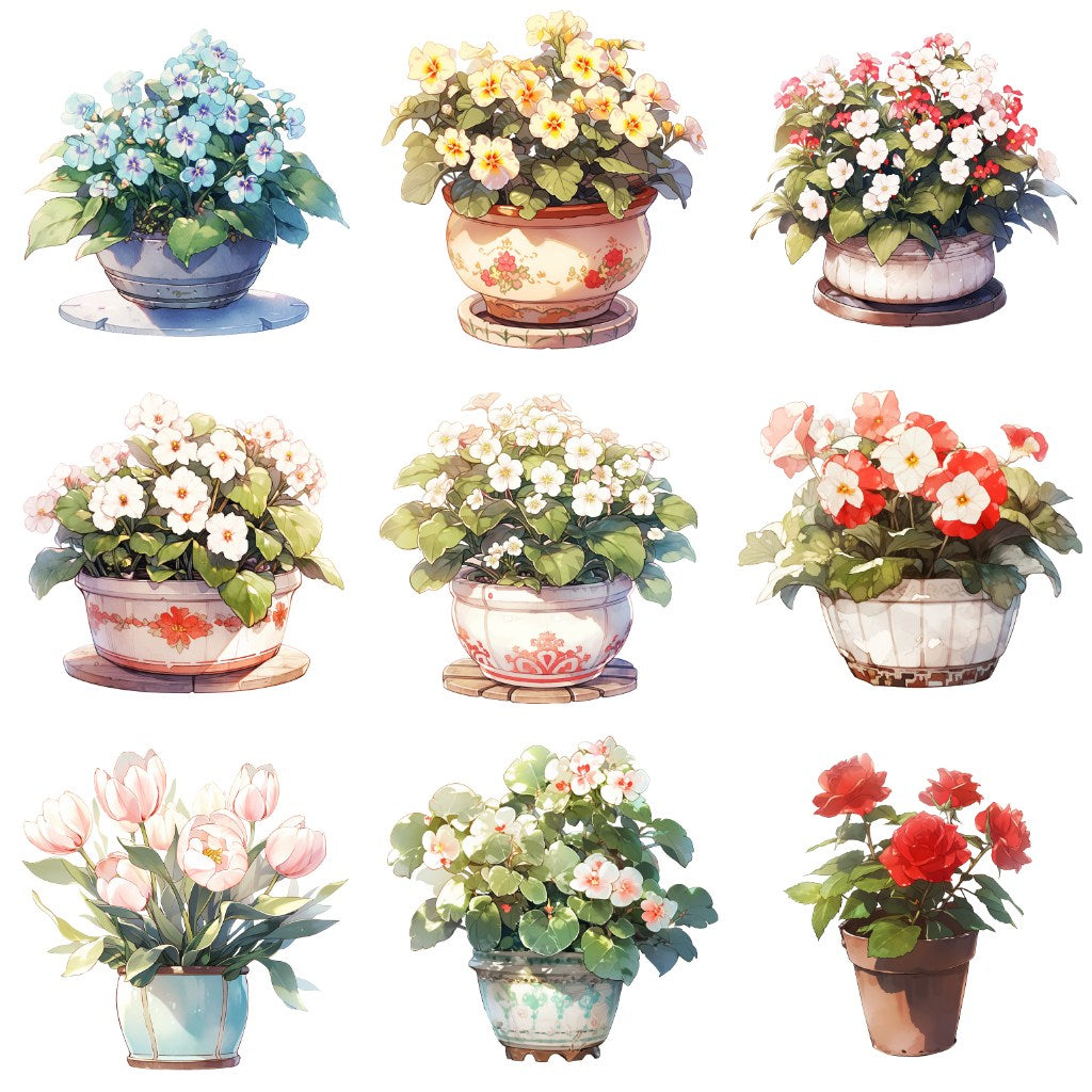 花卉 50 幅插图 (透明 PNG)