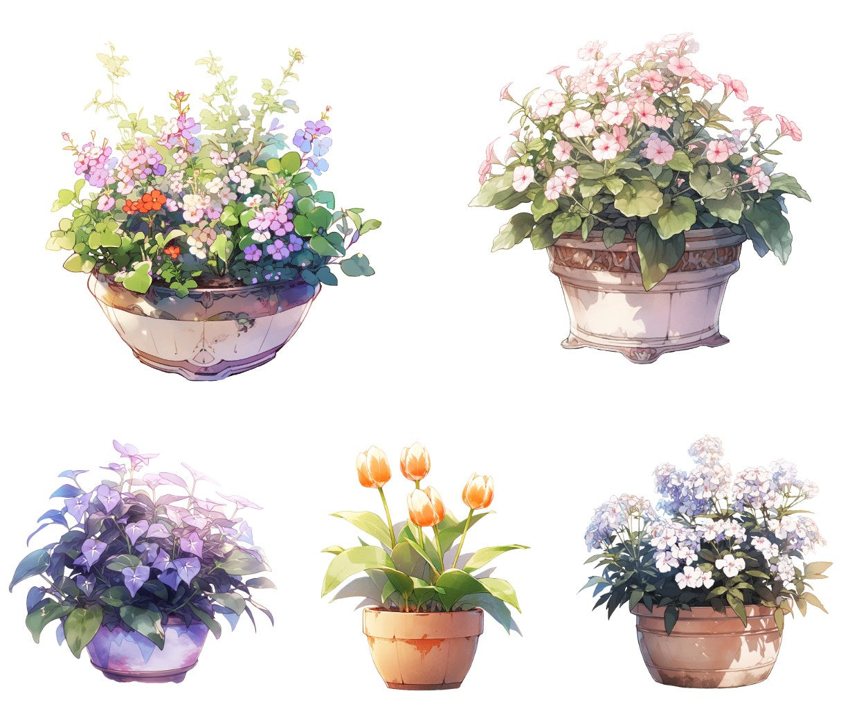 花卉 50 幅插图 (透明 PNG)