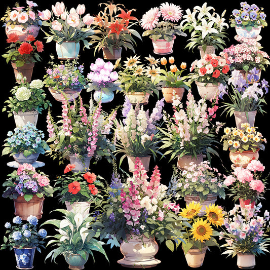 花卉 50 幅插图 (透明 PNG)